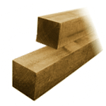 Fence Posts