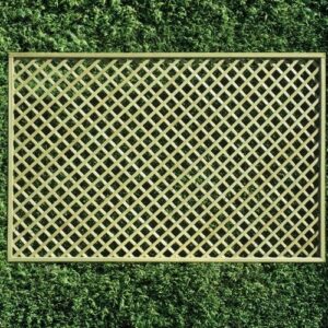 Square Diamond Lattice
