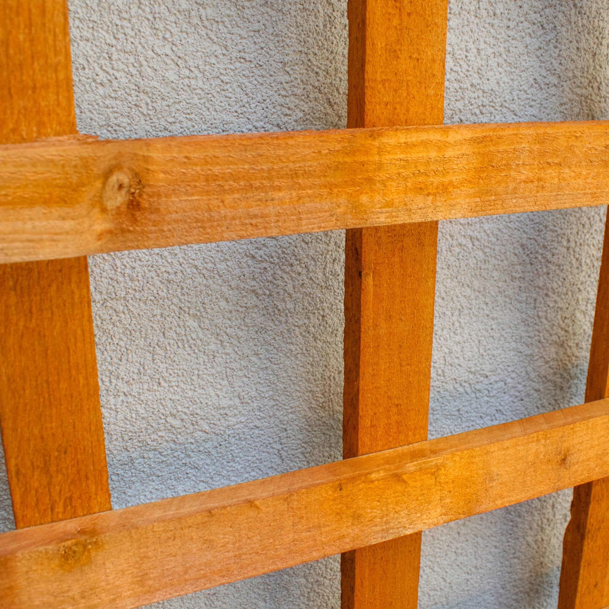 Trellis AP Fencing Ltd