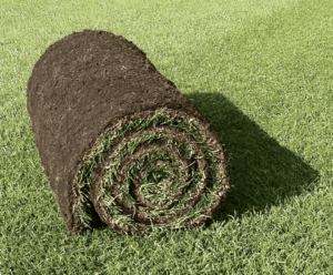 Seeded Garden Turf - 1 Metre Square Roll