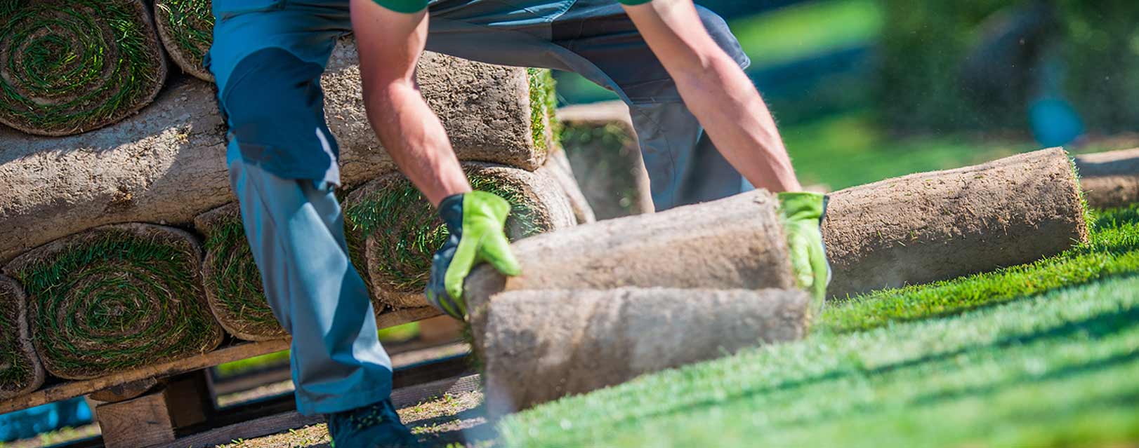Fence Panels, Gravel Boards, Posts Lichfield, Great Barr, Solihull
